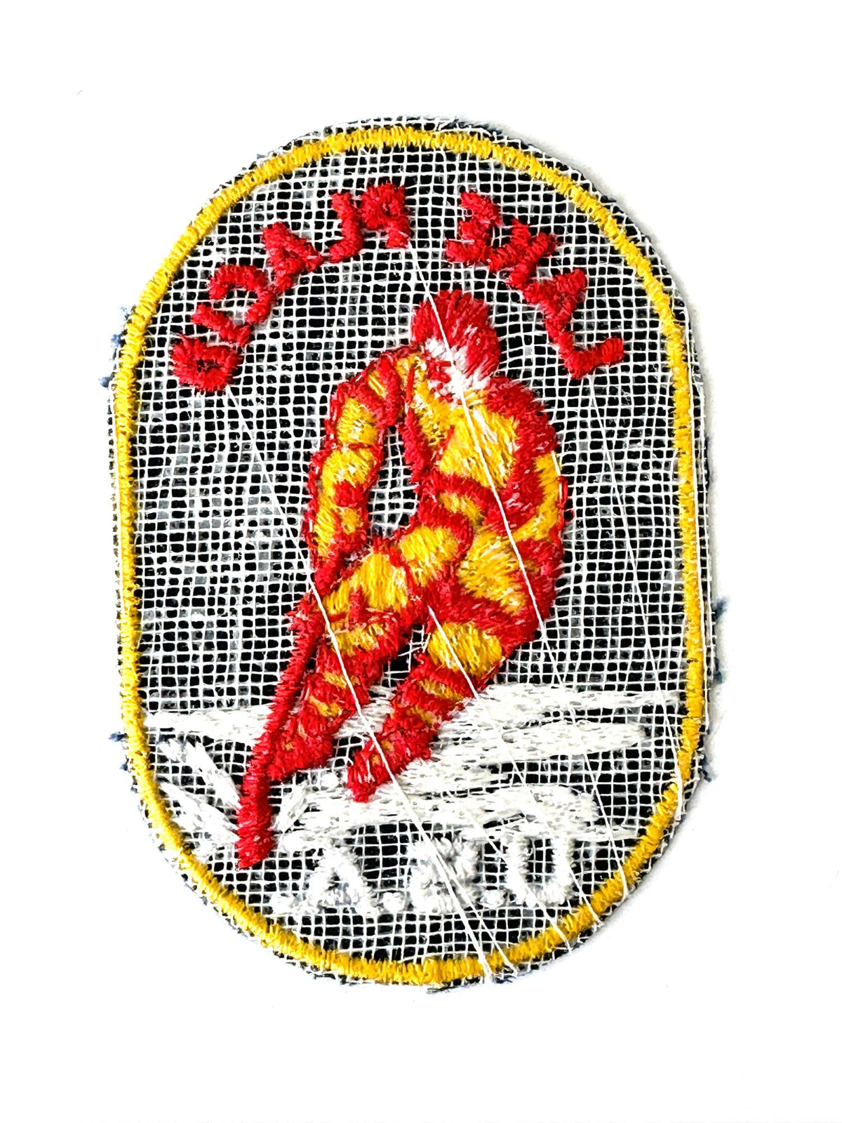 New York Lake Placid USA Hockey Vintage Patch
