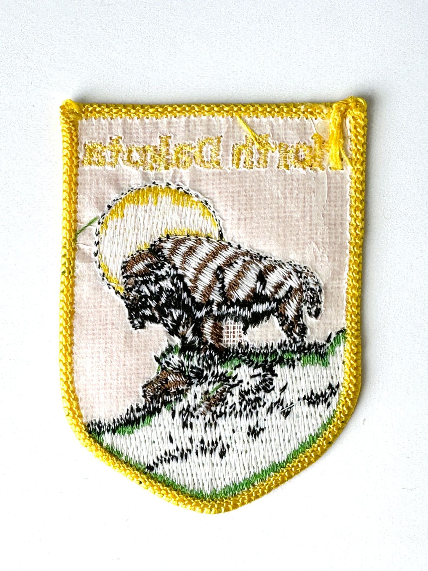 North Dakota Bison Vintage Patch