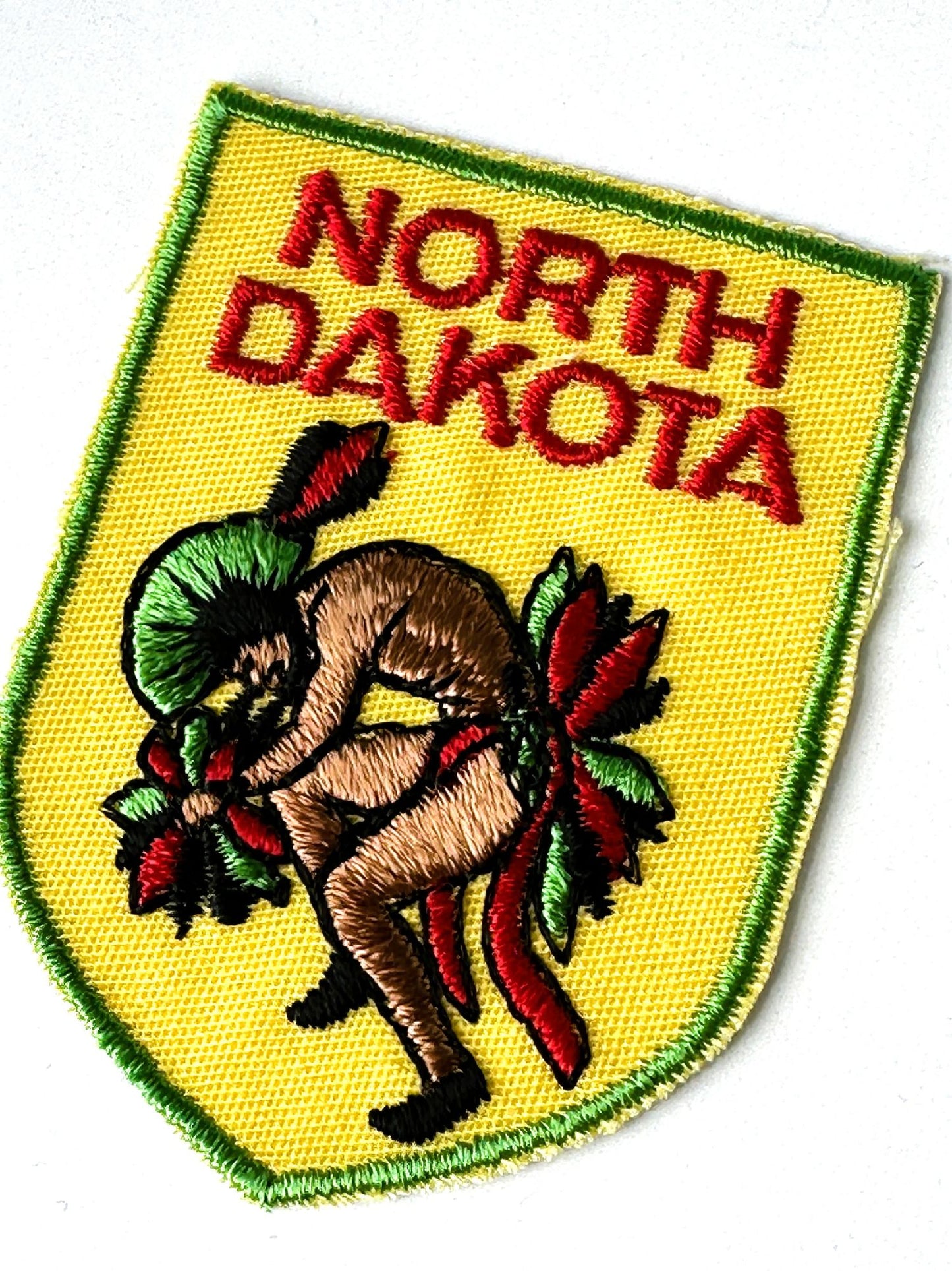 North Dakota Native American Vintage Patch