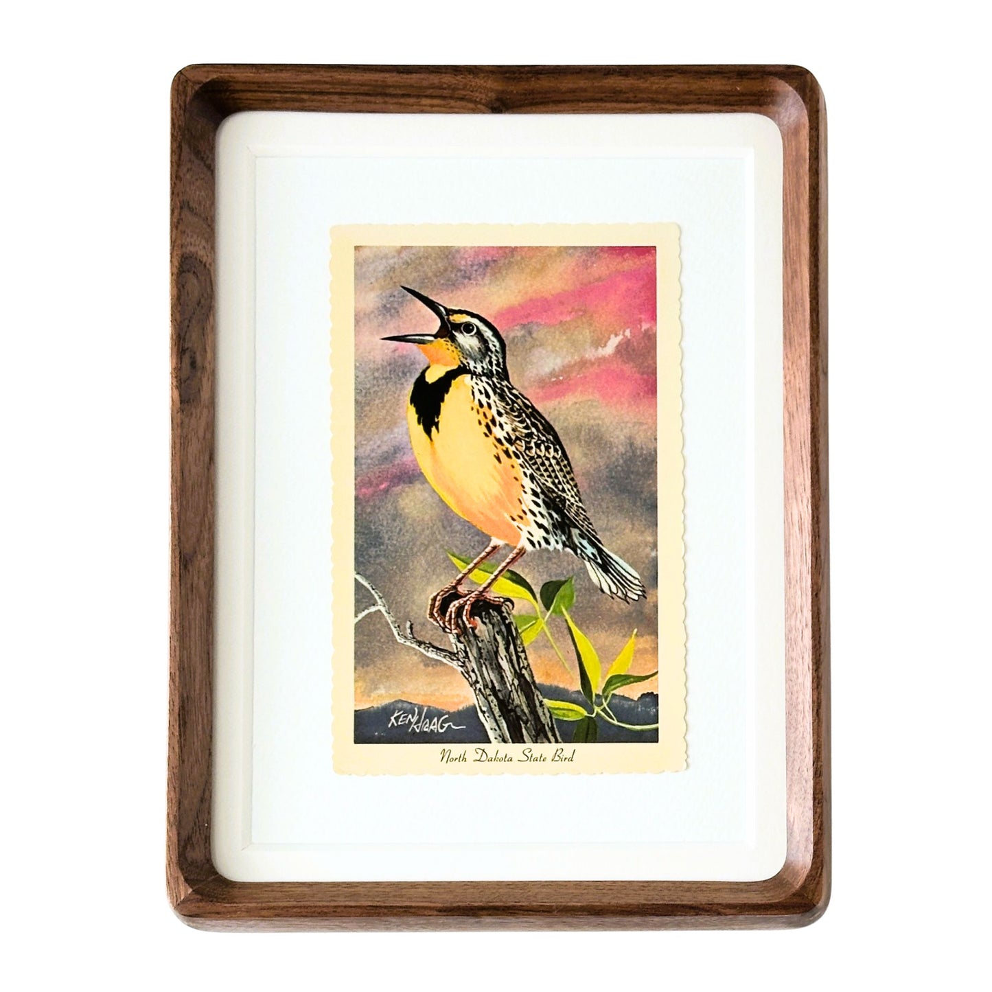 North Dakota State Bird Vintage 1966 Postcard Wood Framed