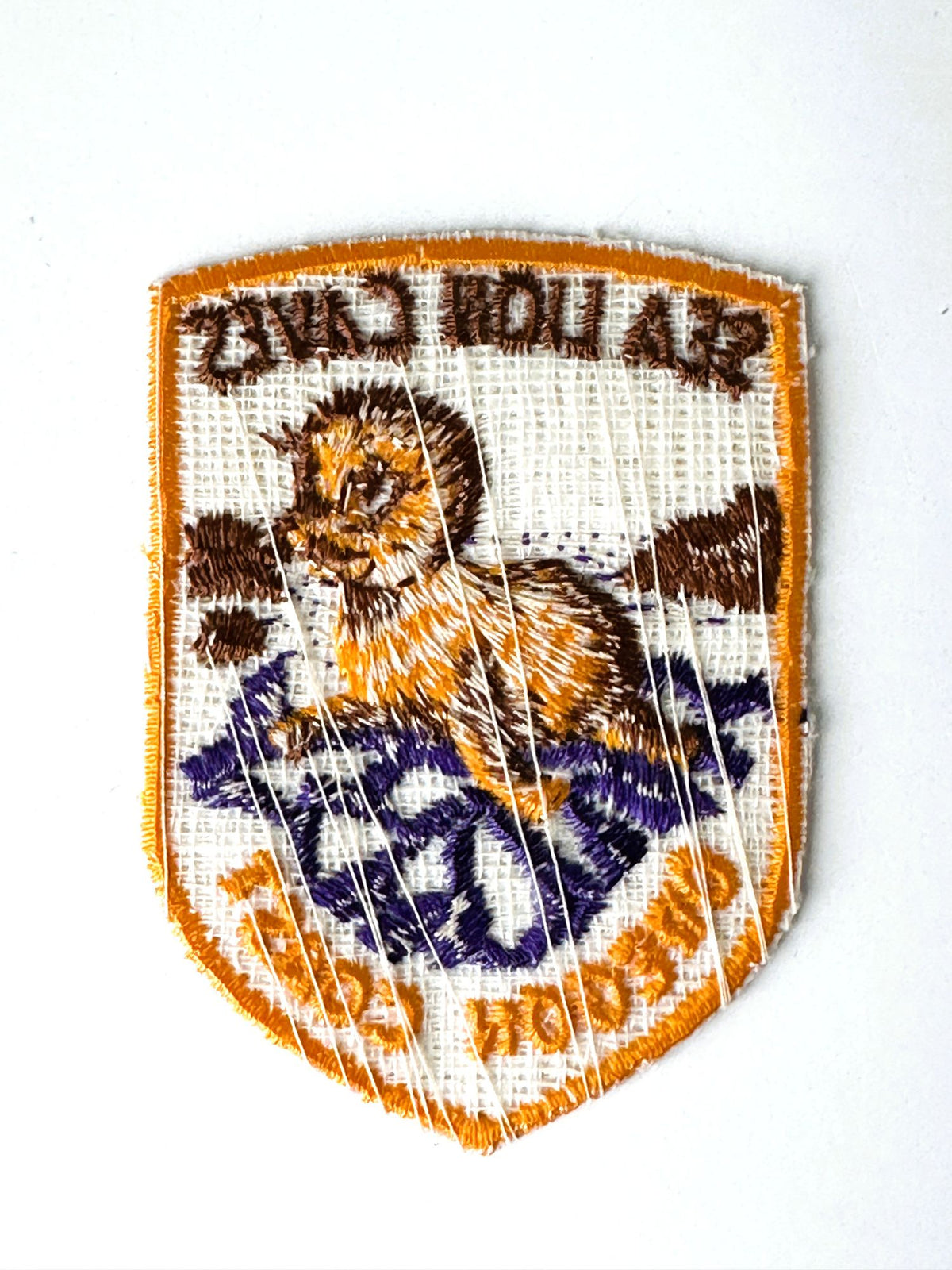 Oregon Coast Sea Lion Caves Vintage Patch