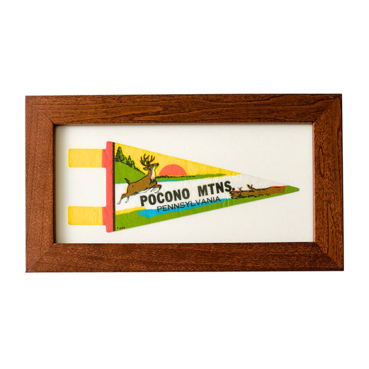 Pennsylvania Pocono Mountains Small Retro Framed Vintage Pennant