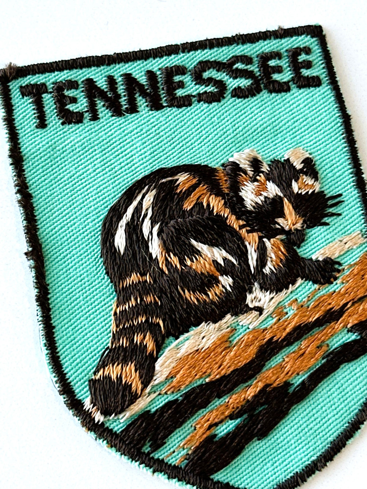Tennessee Raccoon Vintage Patch