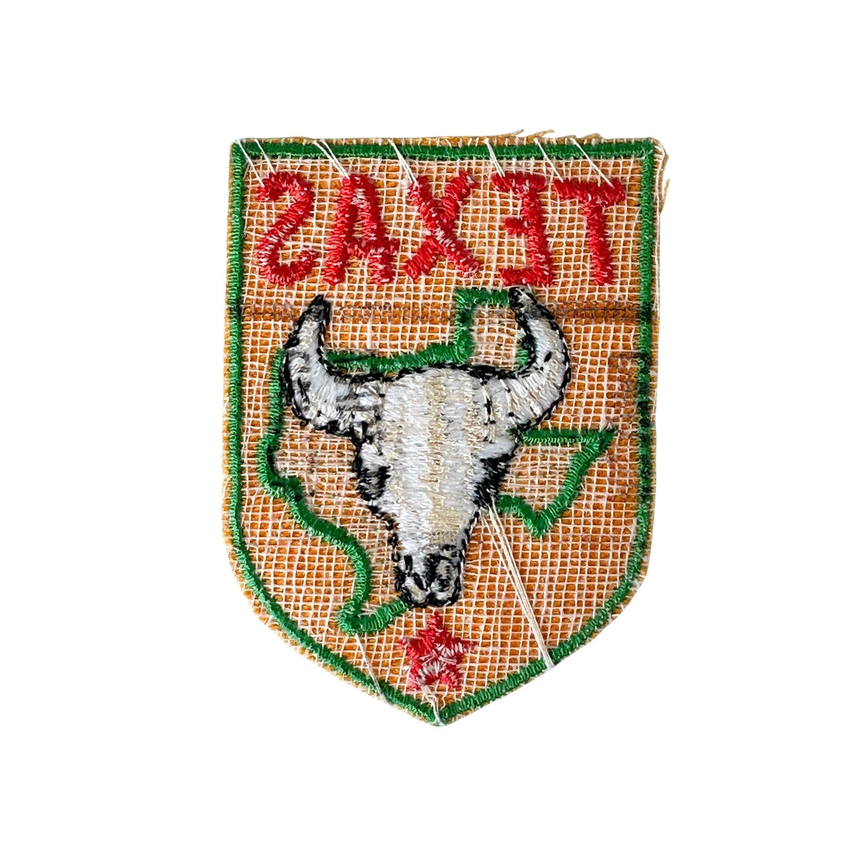 Texas Cattle Horns Vintage Patch