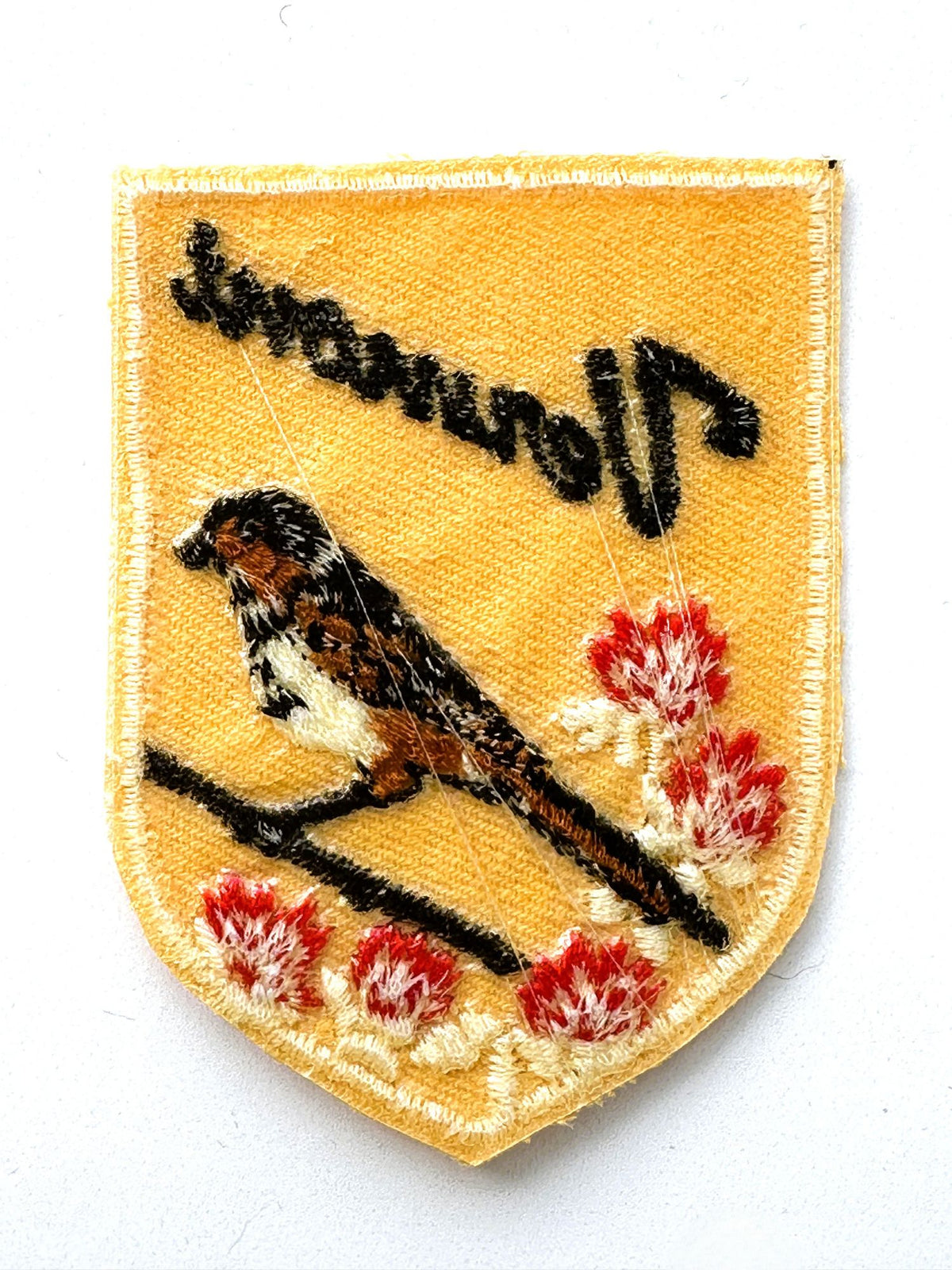 Vermont State Bird Vintage Patch