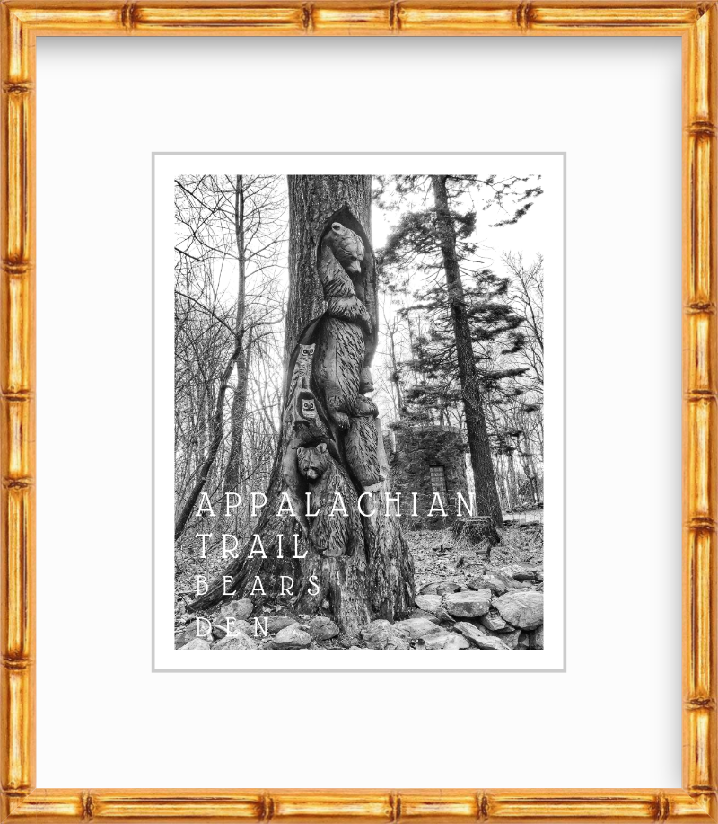 Virginia Appalachian Trail at Bears Den Giclee Travel Print