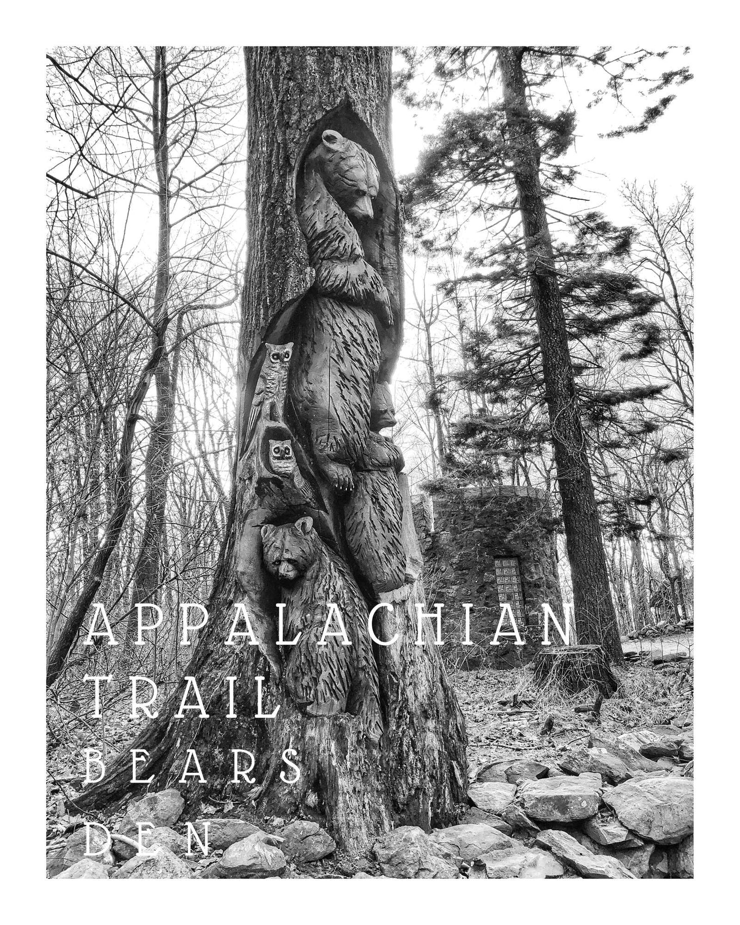 Virginia Appalachian Trail at Bears Den Giclee Travel Print