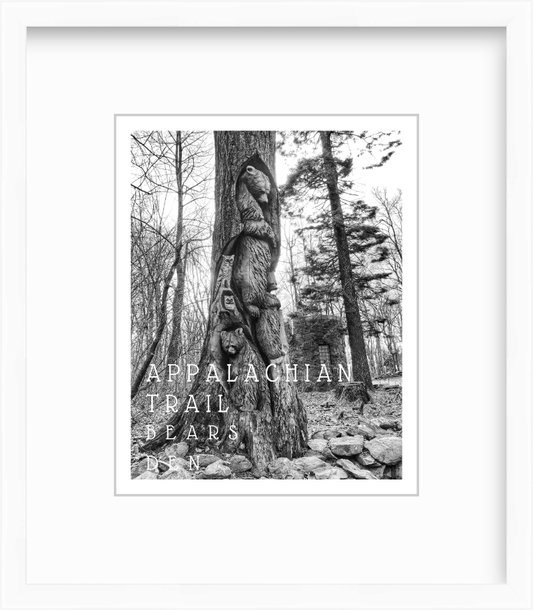 Virginia Appalachian Trail at Bears Den Giclee Travel Print