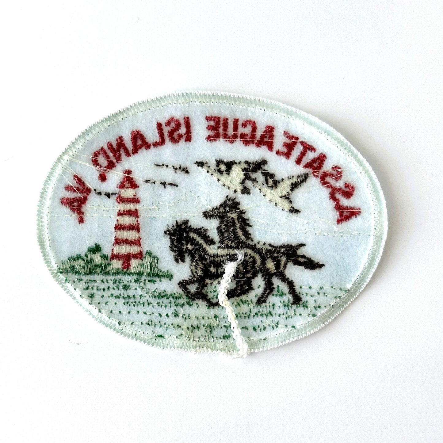 Virginia Assateague Island Lighthouse Wild Horses Vintage Patch