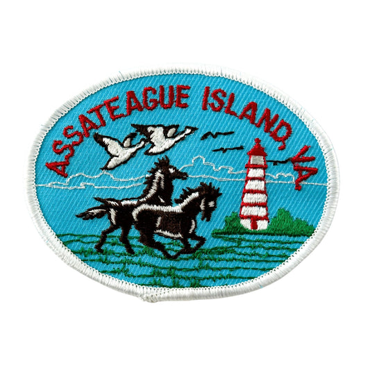 Virginia Assateague Island Lighthouse Wild Horses Vintage Patch