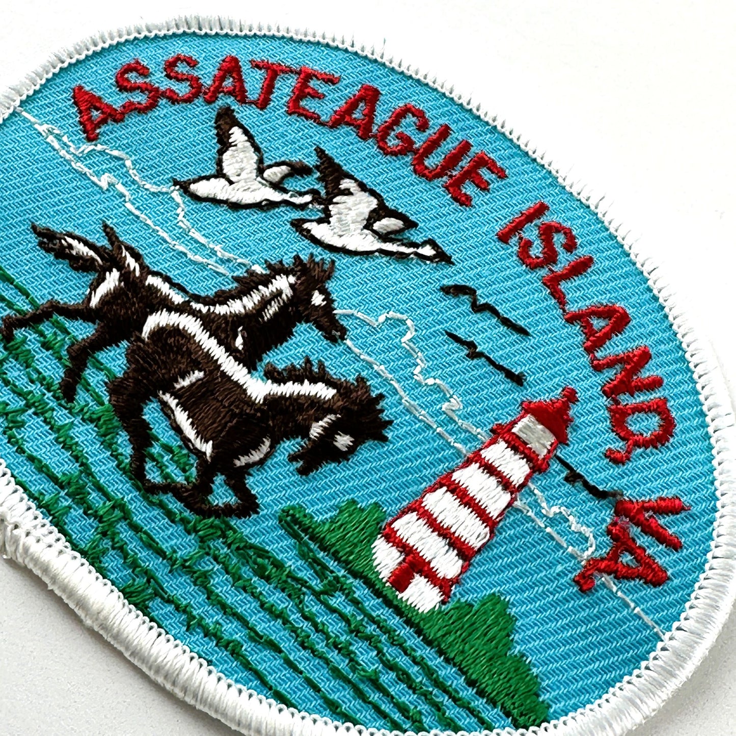 Virginia Assateague Island Lighthouse Wild Horses Vintage Patch
