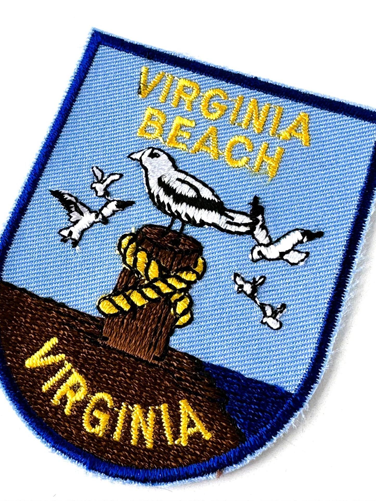 Virginia Beach Seagulls Vintage Patch