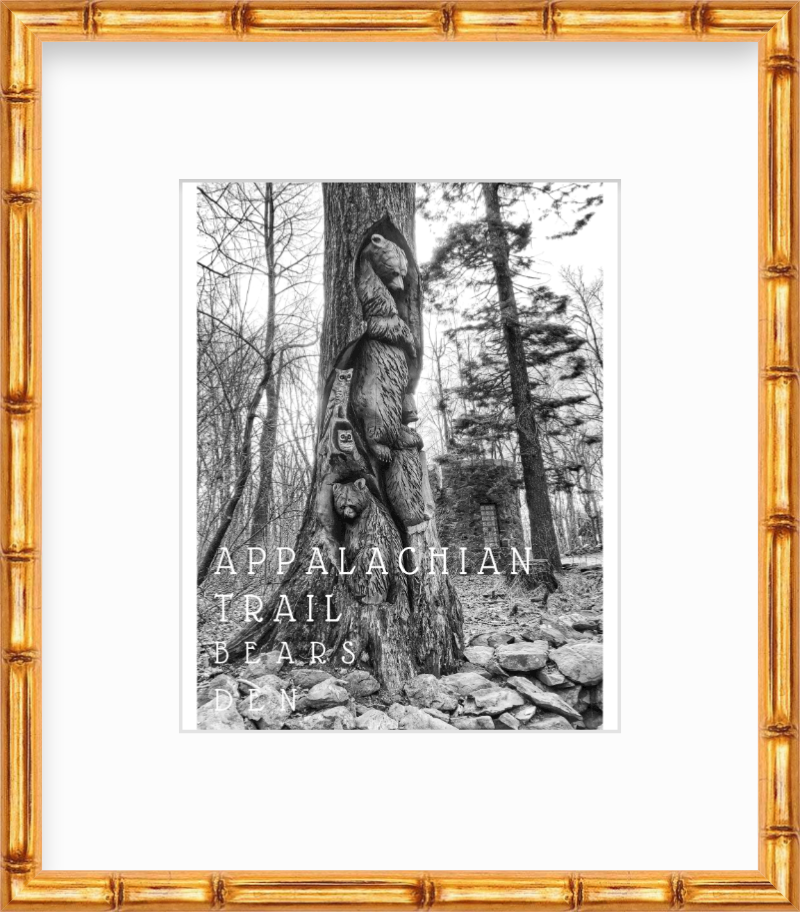 Virginia Appalachian Trail at Bears Den Giclee Travel Print