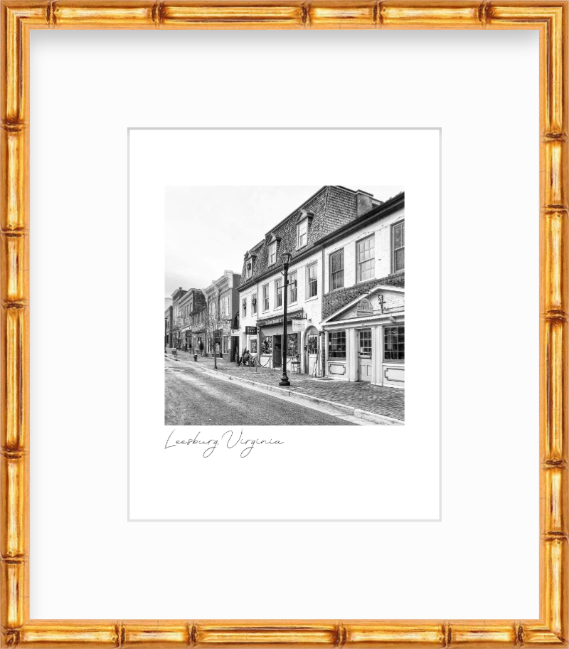 Virginia Leesburg Historic District Giclee Travel Print