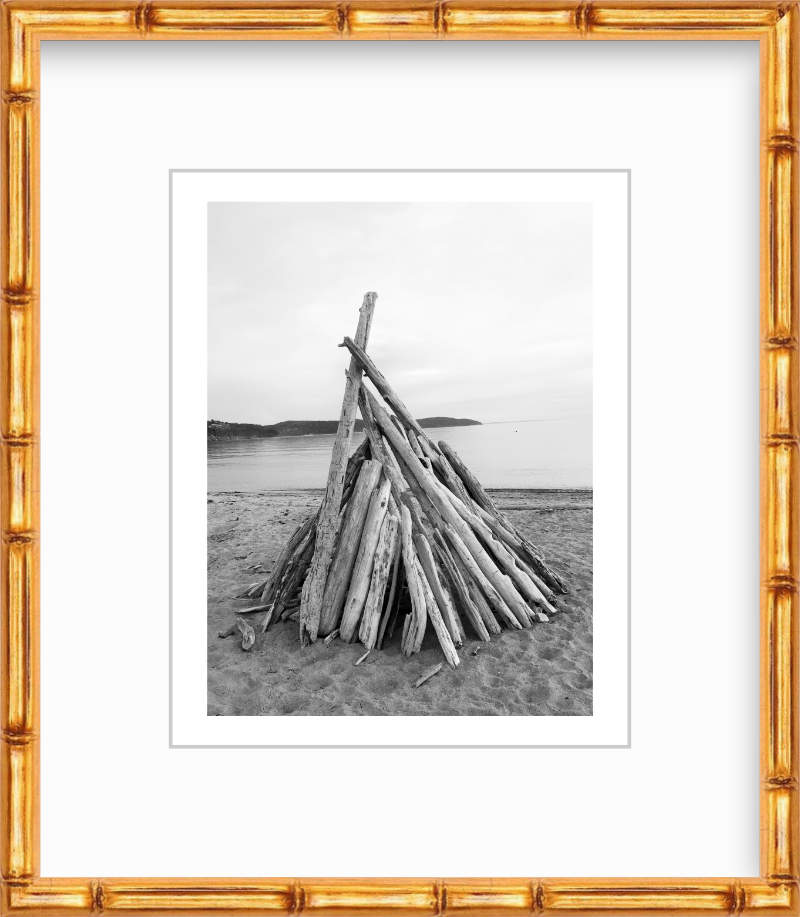 Washington Fidalgo Island Driftwood at Burrows Bay Giclee Travel Print