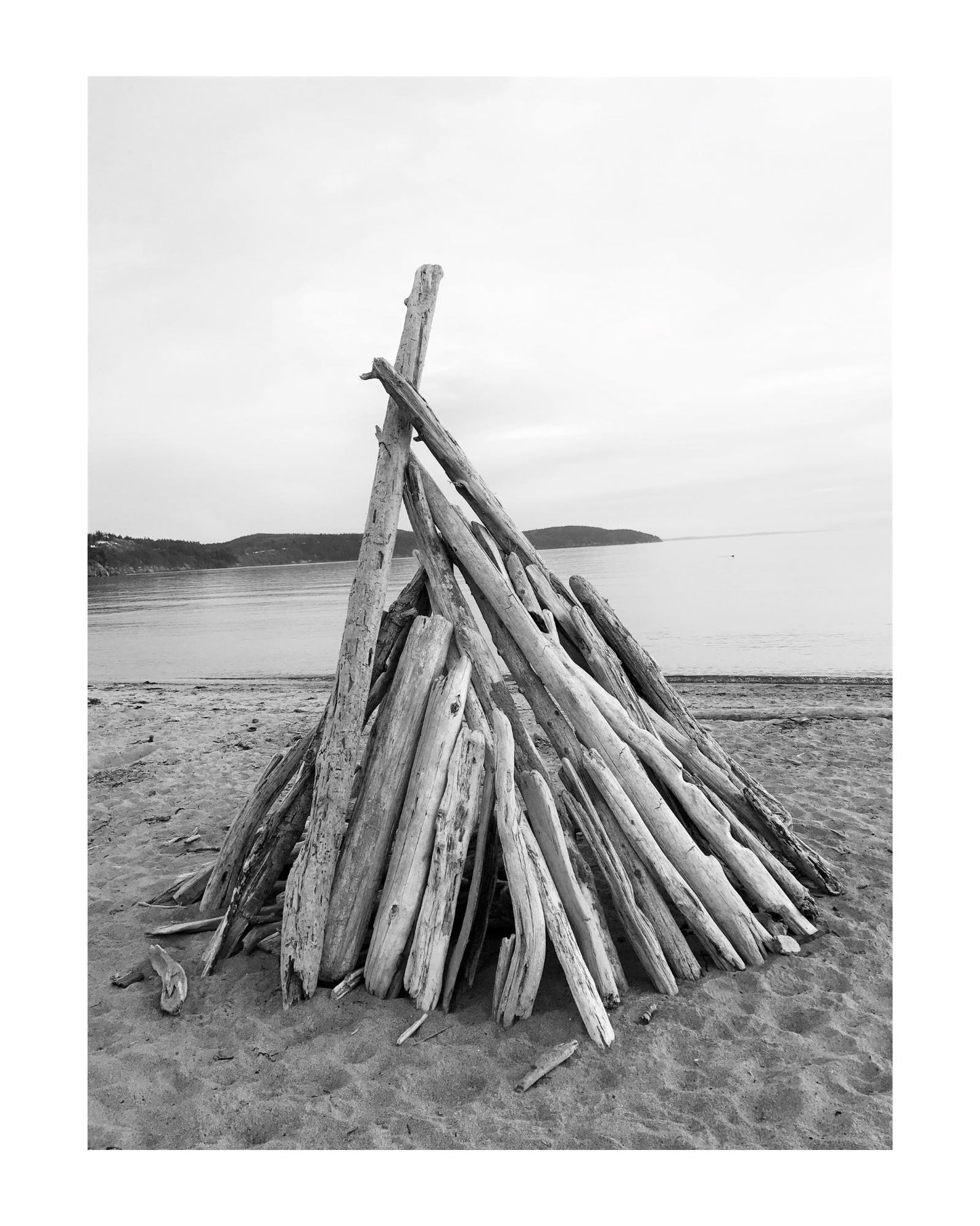 Washington Fidalgo Island Driftwood at Burrows Bay Giclee Travel Print
