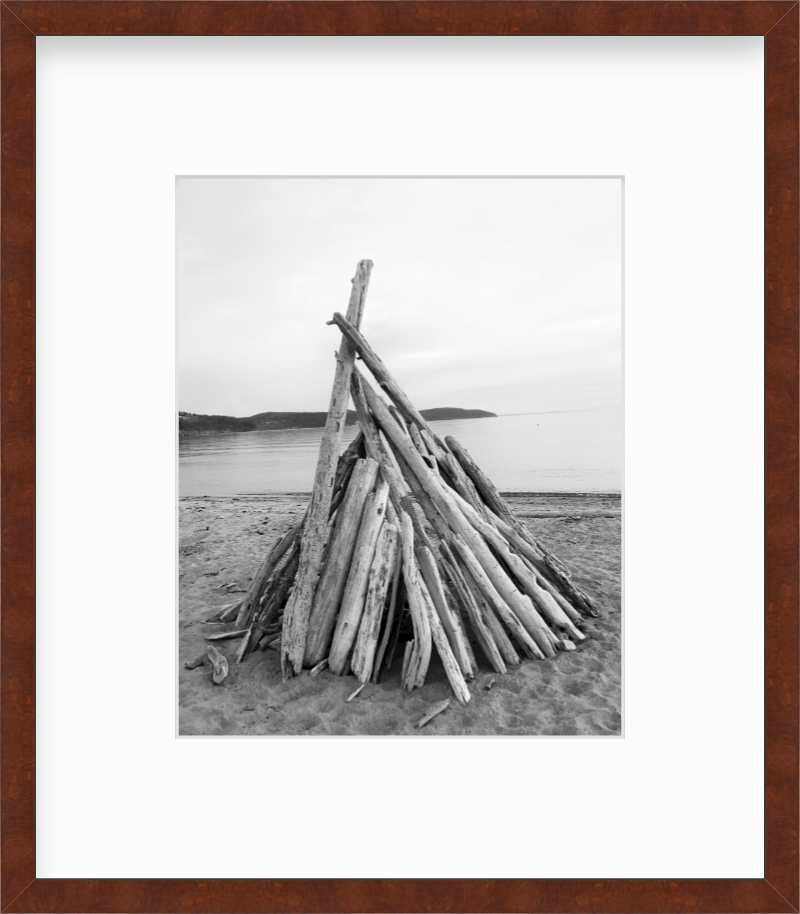 Washington Fidalgo Island Driftwood at Burrows Bay Giclee Travel Print