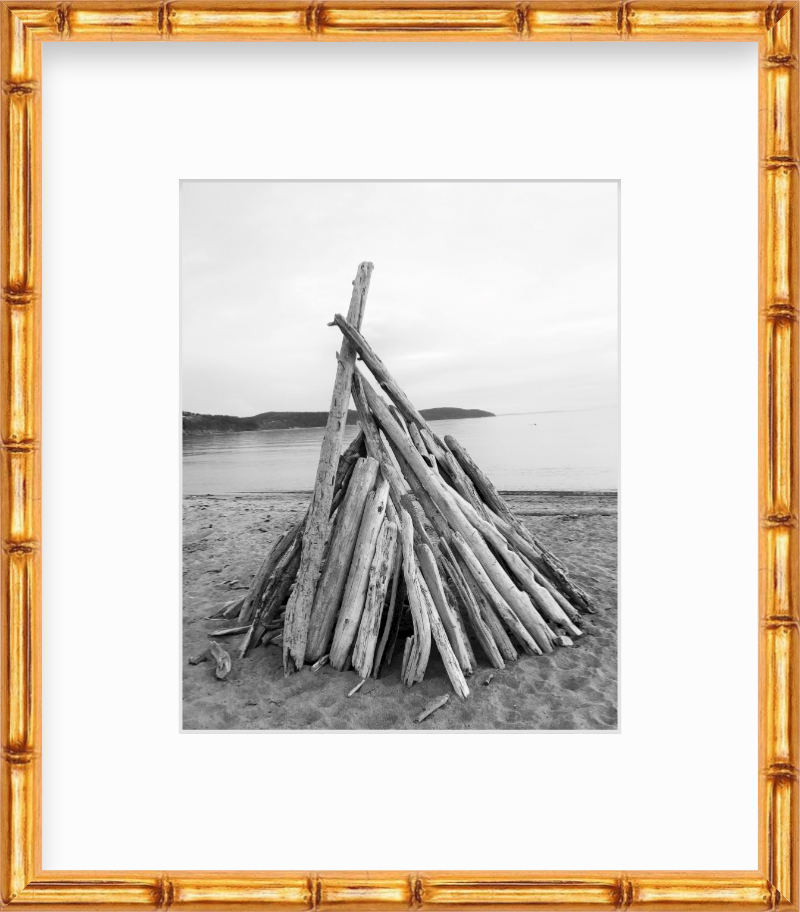 Washington Fidalgo Island Driftwood at Burrows Bay Giclee Travel Print