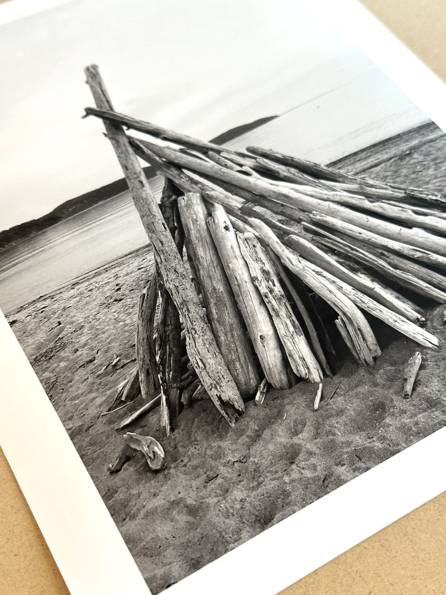 Washington Fidalgo Island Driftwood at Burrows Bay Giclee Travel Print