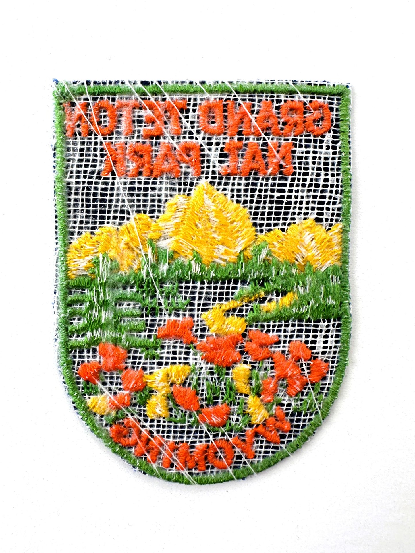 Wyoming Grand Teton National Park Jackson Hole Scene Vintage Patch