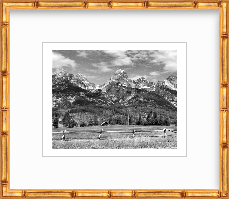 Wyoming Grand Teton National Park in Summer Giclee Travel Print