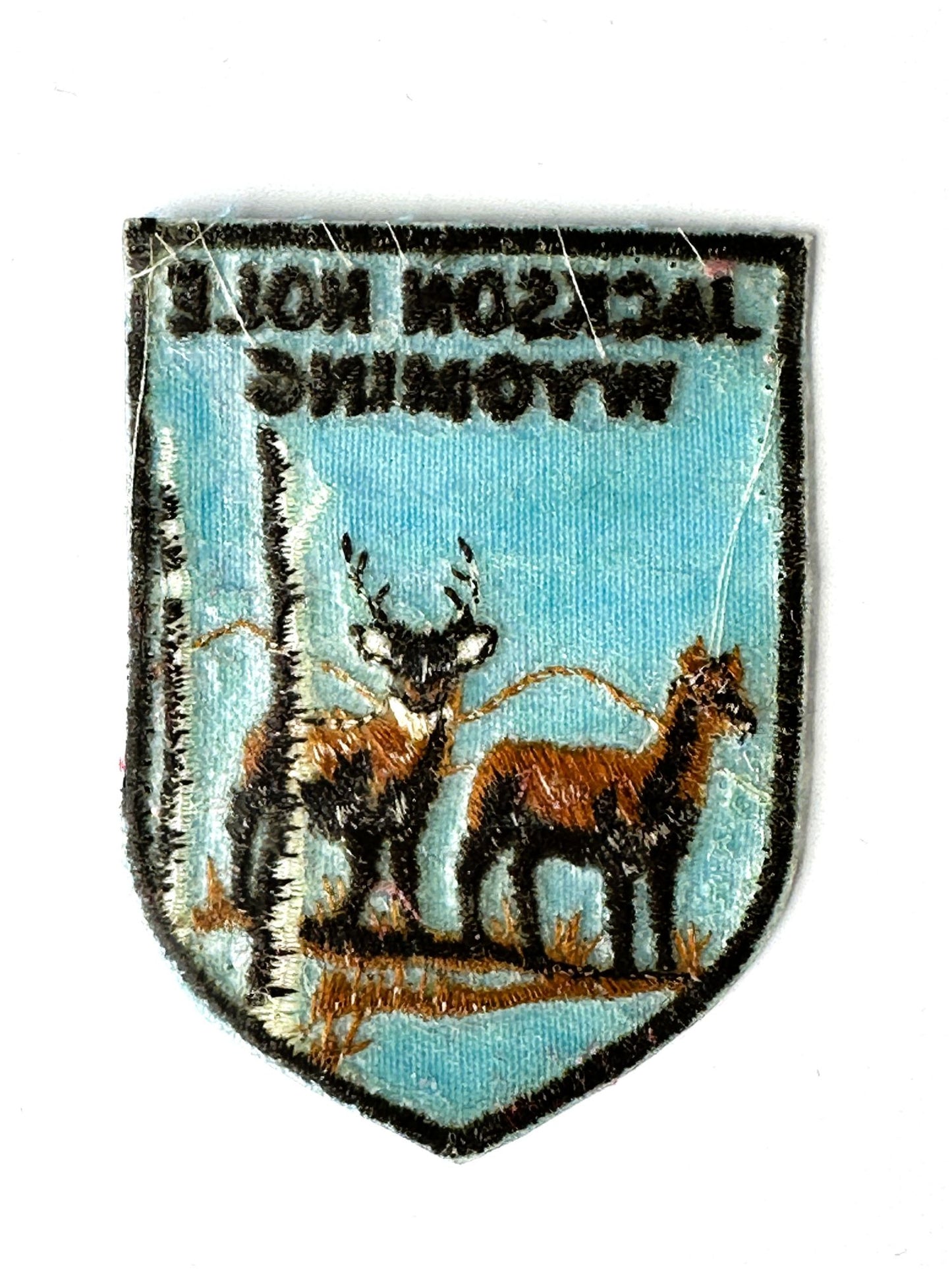 Wyoming Jackson Hole Wildlife Vintage Patch