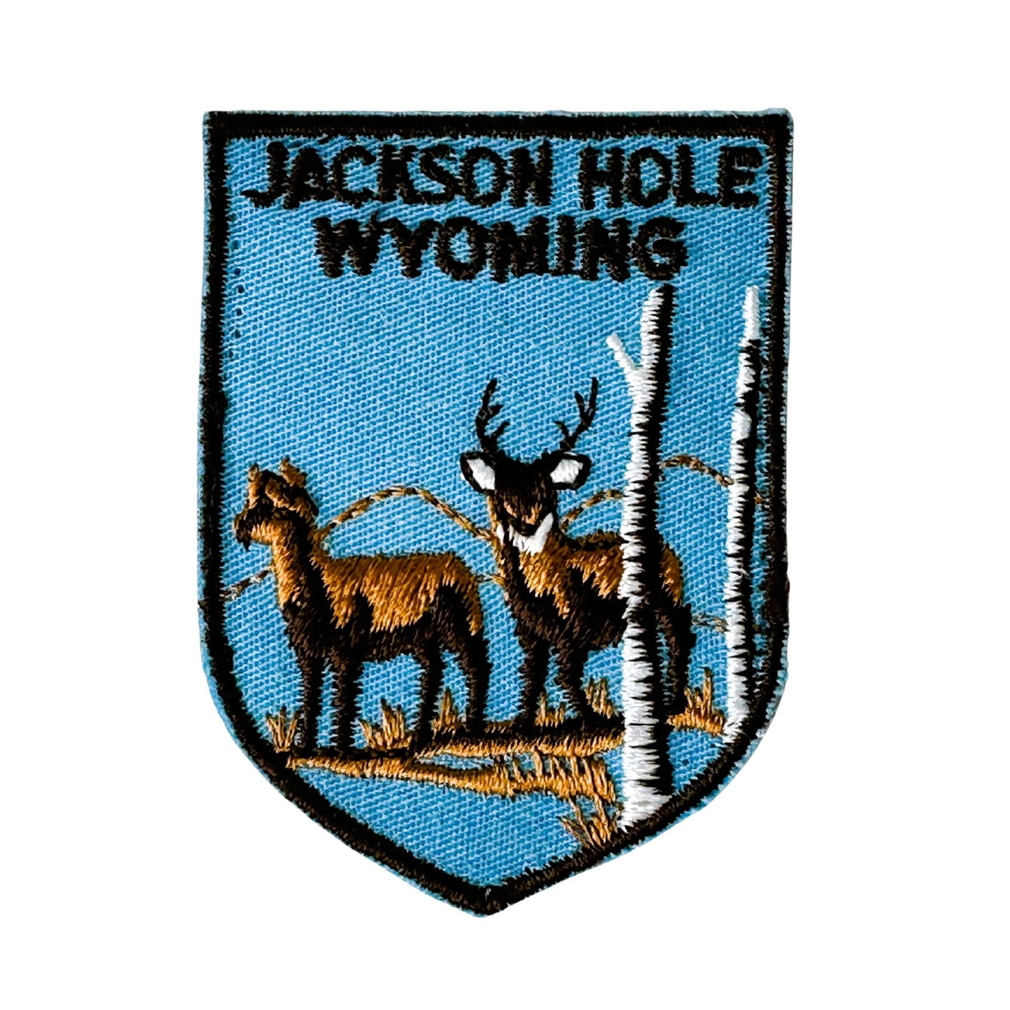 Wyoming Jackson Hole Wildlife Vintage Patch