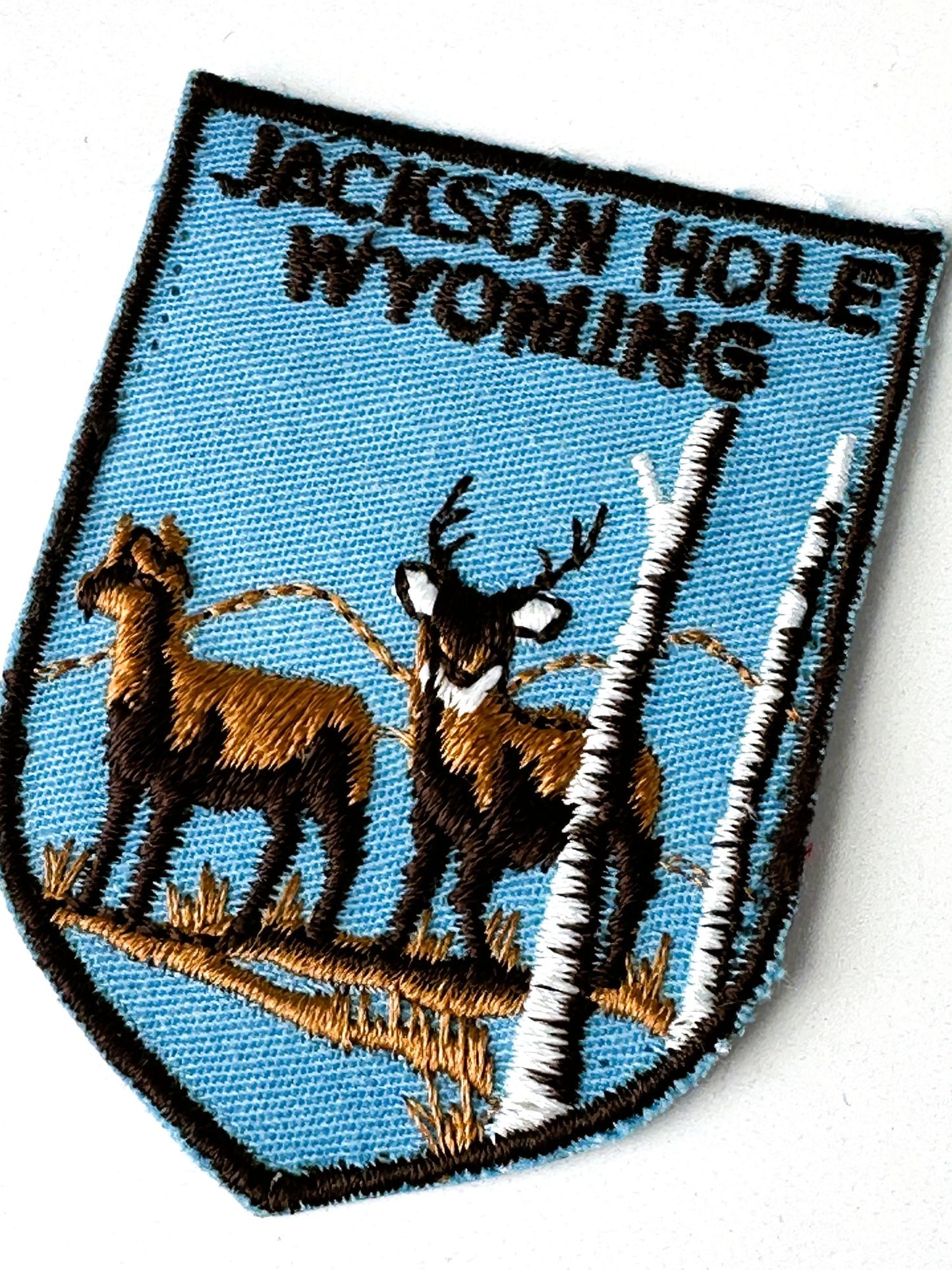 Wyoming Jackson Hole Wildlife Vintage Patch