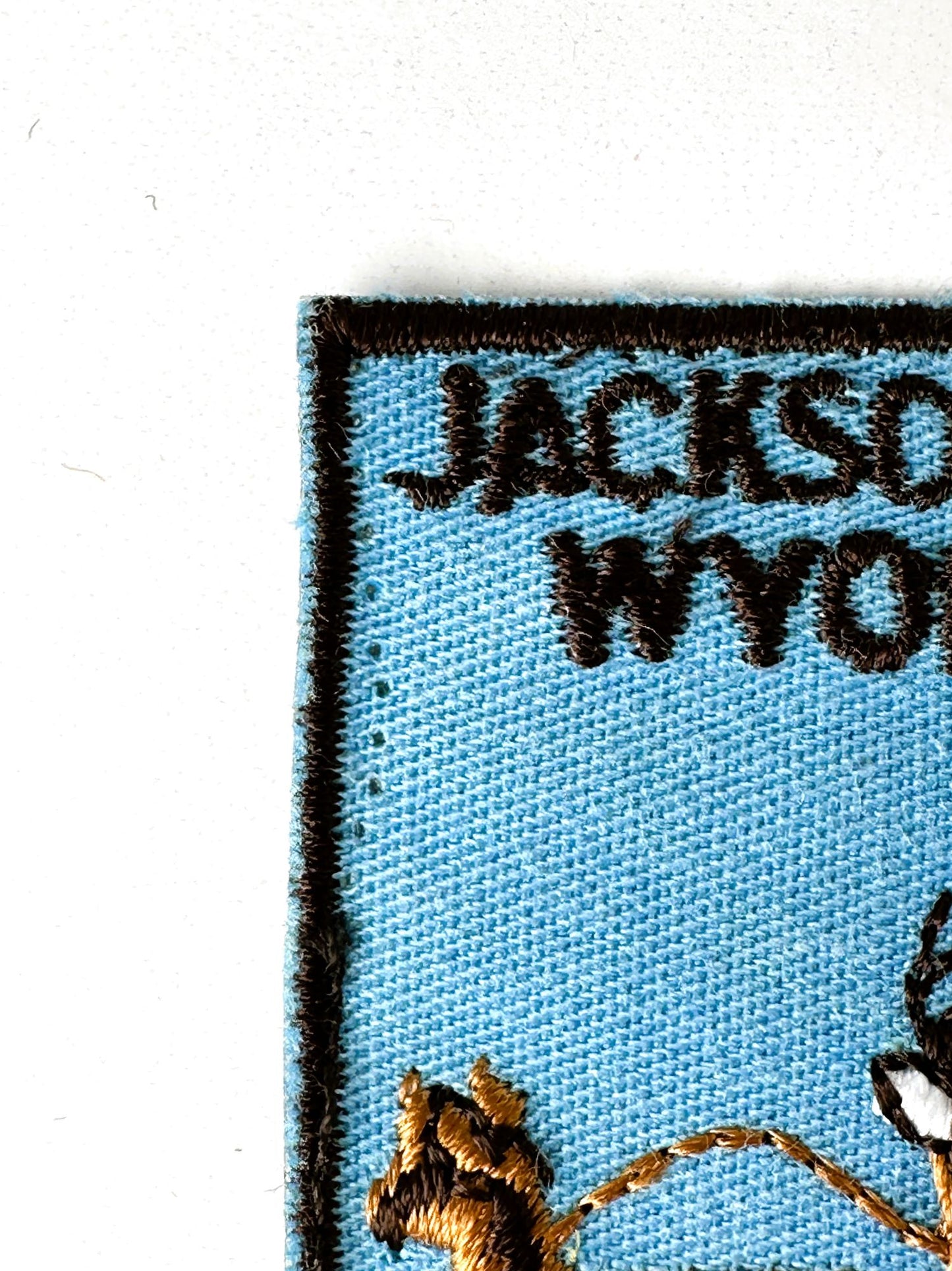 Wyoming Jackson Hole Wildlife Vintage Patch