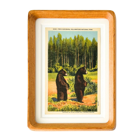 Wyoming Montana Yellowstone National Park Twin Bear Cubs Vintage Linen Postcard Postmarked 1960 Wood Framed