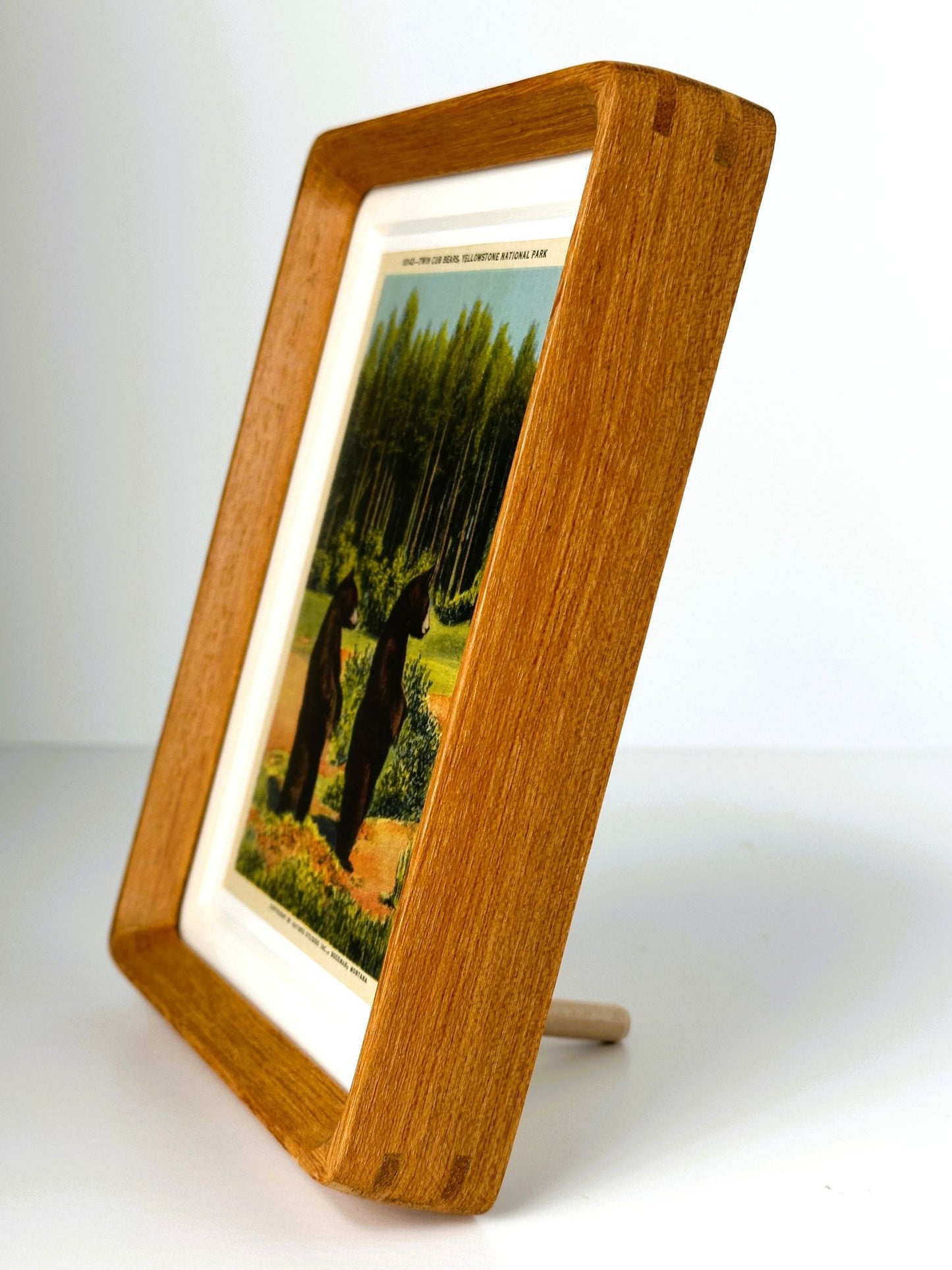 Wyoming Montana Yellowstone National Park Twin Bear Cubs Vintage Linen Postcard Postmarked 1960 Wood Framed