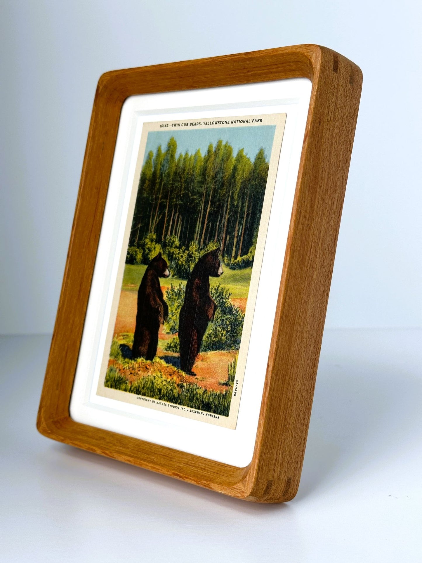 Wyoming Montana Yellowstone National Park Twin Bear Cubs Vintage Linen Postcard Postmarked 1960 Wood Framed