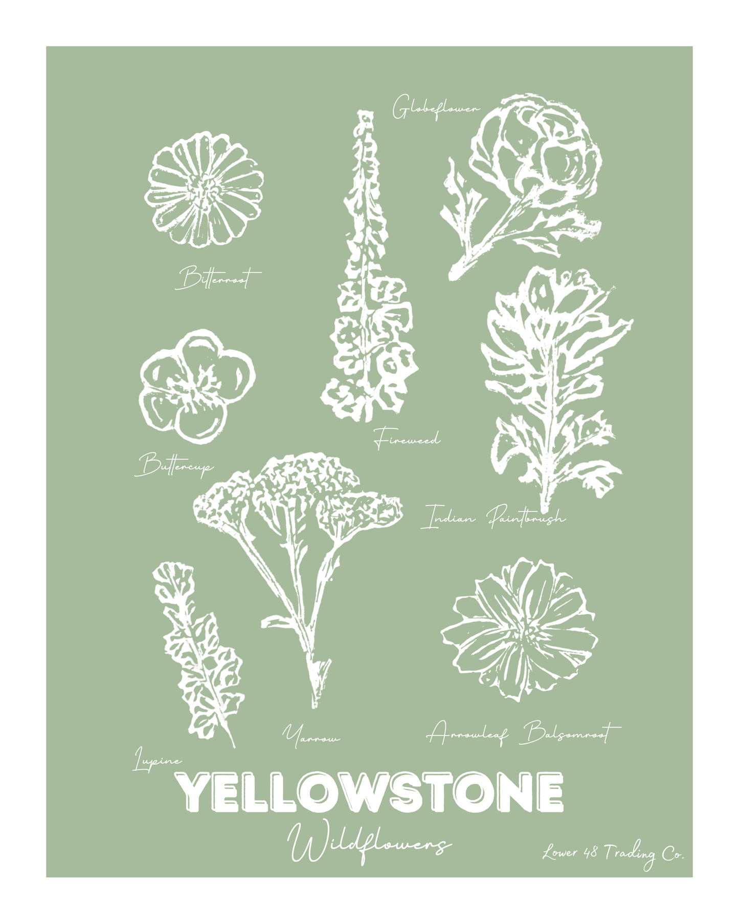 Wyoming Montana Yellowstone Wildflowers Block Print by Nikki Degn Giclee Art Print