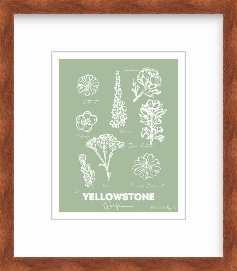 Wyoming Montana Yellowstone Wildflowers Block Print by Nikki Degn Giclee Art Print