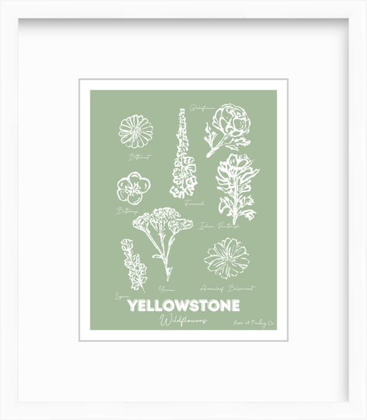 Wyoming Montana Yellowstone Wildflowers Block Print by Nikki Degn Giclee Art Print