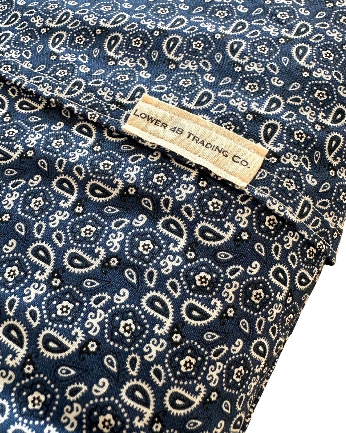 Wyoming Vintage 1960's Pennant on New Woven Blue Paisley Large Throw Pillow