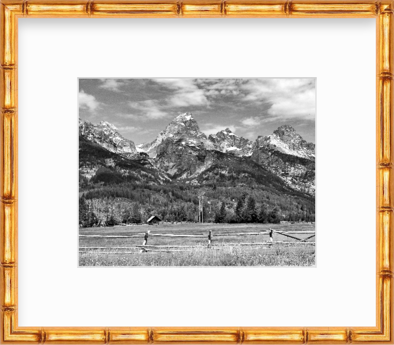 Wyoming Grand Teton National Park in Summer Giclee Travel Print