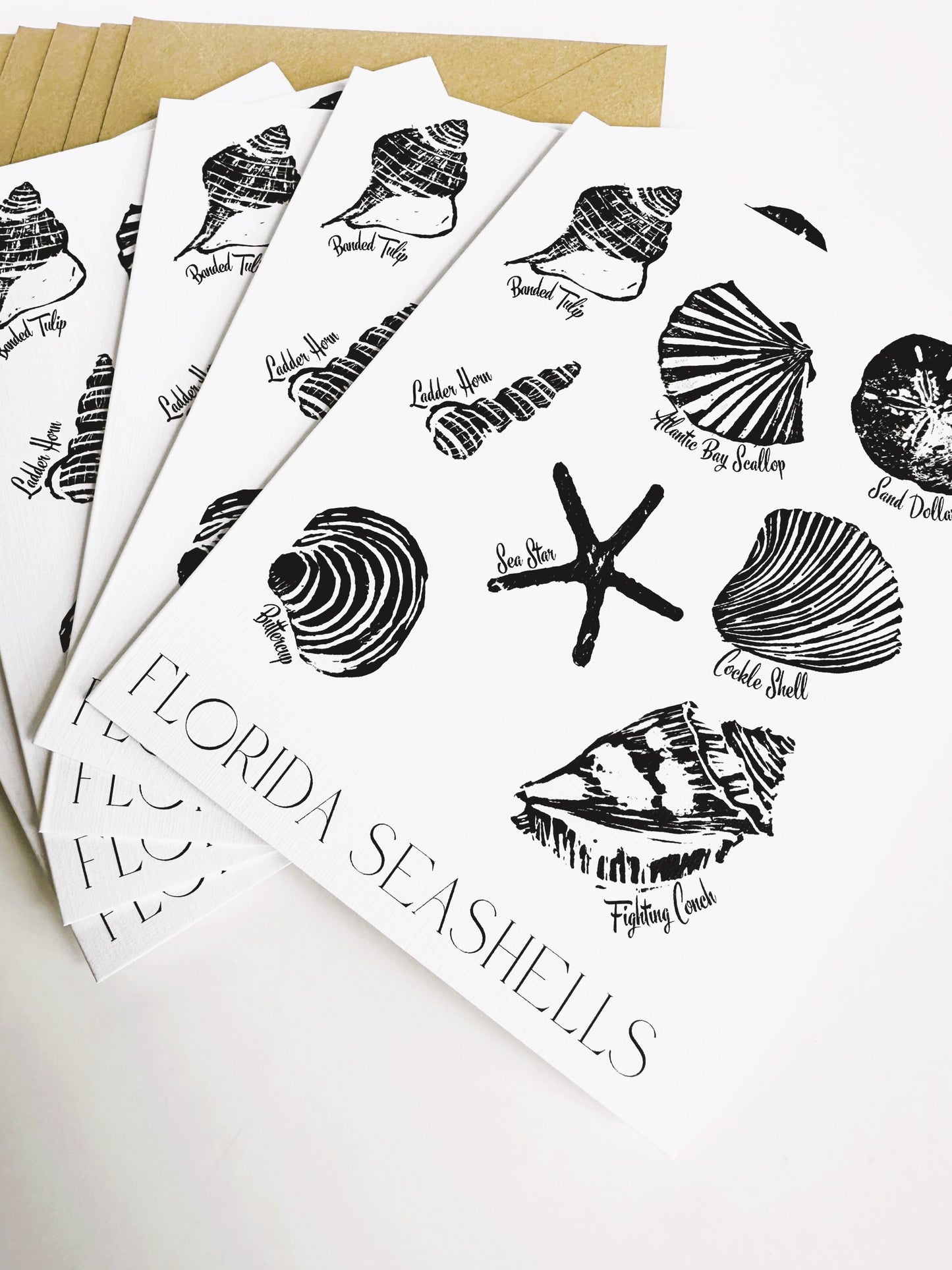Florida Seashells Block Print Art Cards, Set of 5 Cards, Blank Inside